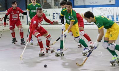 hockey-pista-serie-A1-partita-circolo-pattinatori-grosseto-Edilfox-Sandrigo